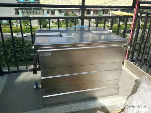 庭院鱼池水清鱼靓的秘密,选对过滤系统功不可没