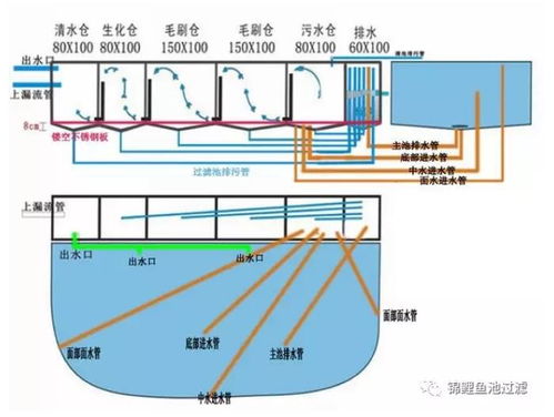 鱼池过滤设备奥利仕 奥利仕 在线咨询 山西鱼池过滤