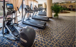 力动康体与必确 precor 商用健身器材达成商务合作