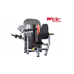 学校篮球架与劲道康体设施公司的康体设备解决方案